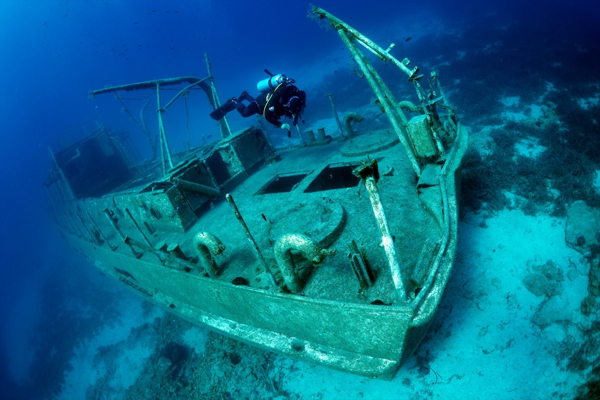 Bodrum Sualtı Dalış Turu